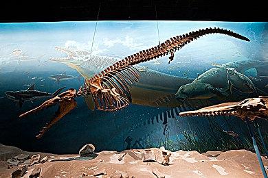 《原神》2.5版本「薄樱初绽时」2月16日上线 新PV发布